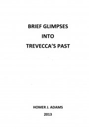 Brief Glimpses into Trevecca's Past