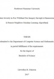 Detecting Burn Severity in Post Wildland Fire Imagery through k-Dimensional Trees and k-Nearest Neighbors Machine Learning Algorithms