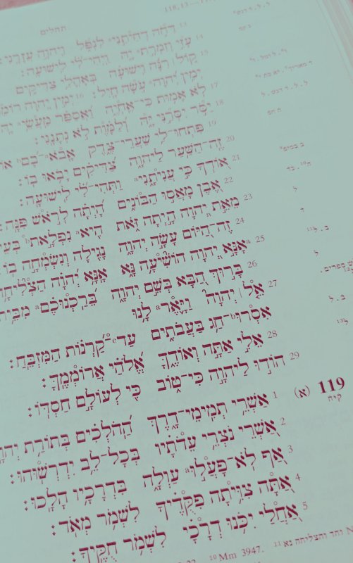 Hebrew Bible Mint Green